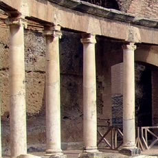 Saiba + adriana tumb